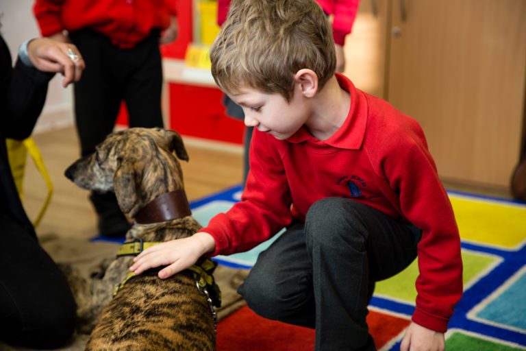 Dogs Trust Cardiff to hold free classes to help children