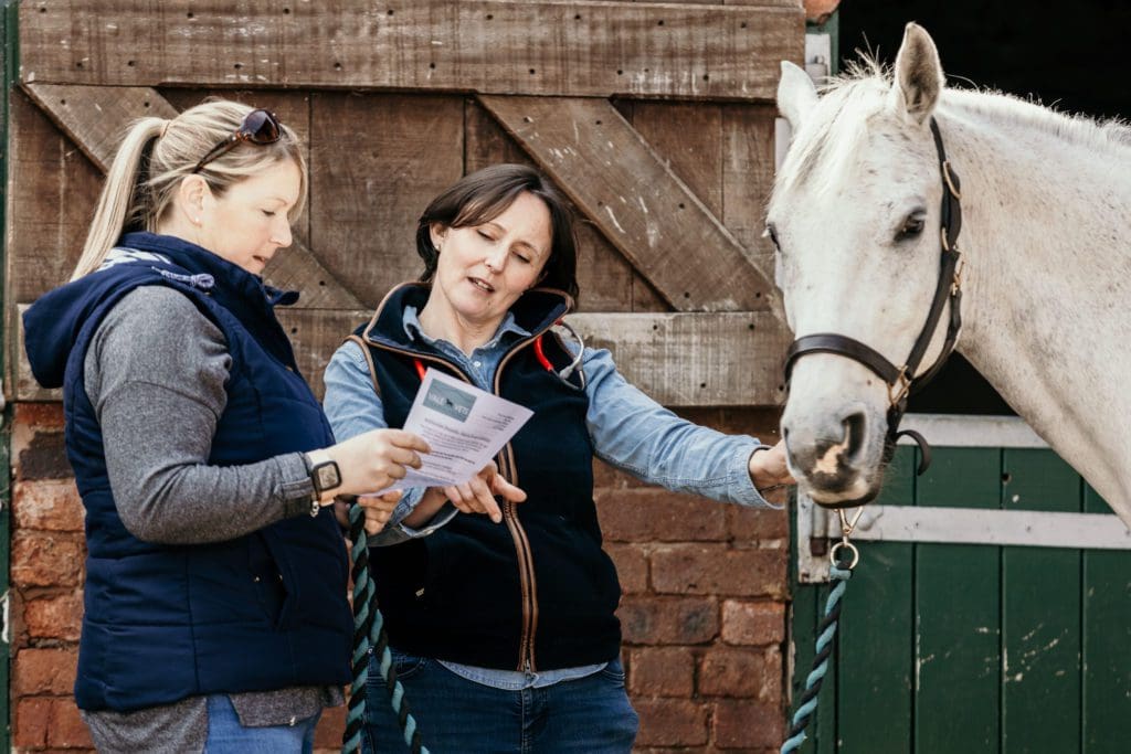 New equine health scheme hits 100-clinic milestone