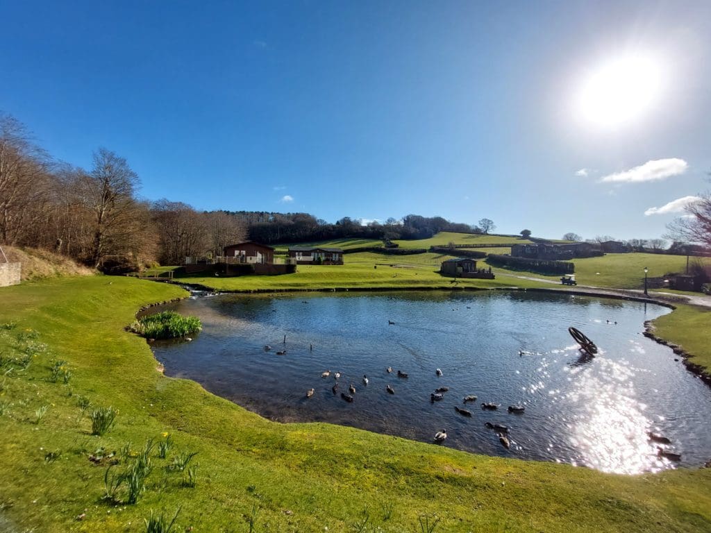 Plas Isaf Lodge Retreat on track to open next year