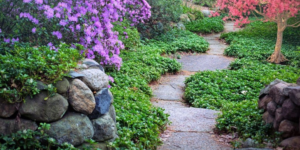 Should You Pay To Maintain the Garden of Your Rental Property