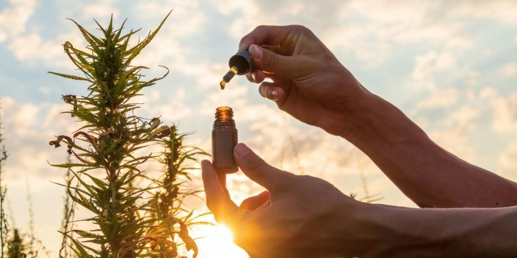 CBD: A Beginner’s Guide