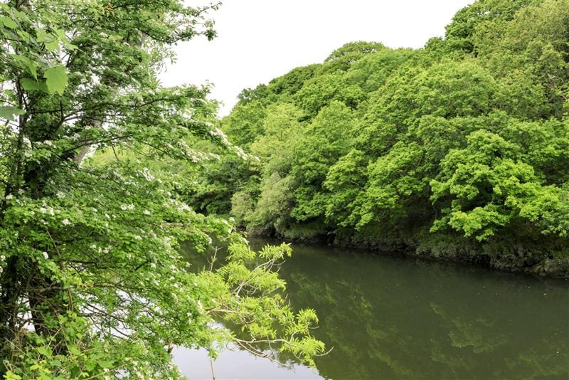 First Minister hosts summit on solutions to river pollution