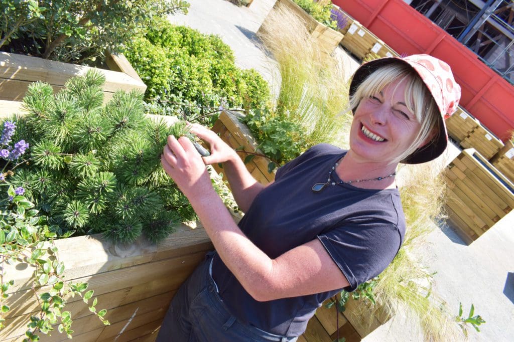 Swansea to get temporary pop-up park set to boost city nature