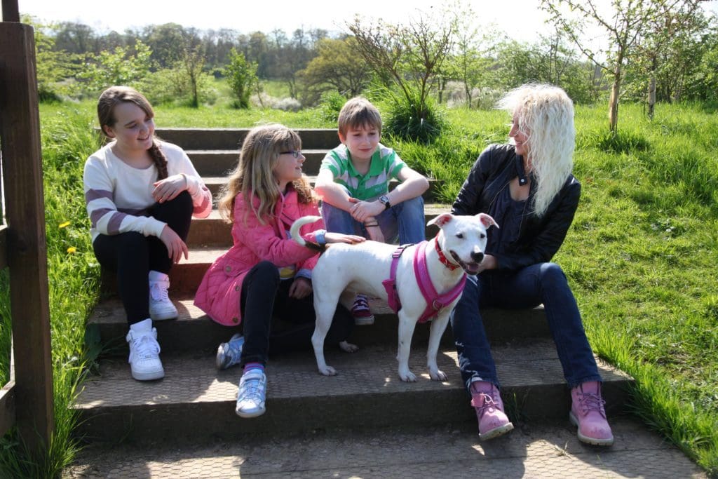 Free Dogs Trust workshops to help children live happily and safely around dogs