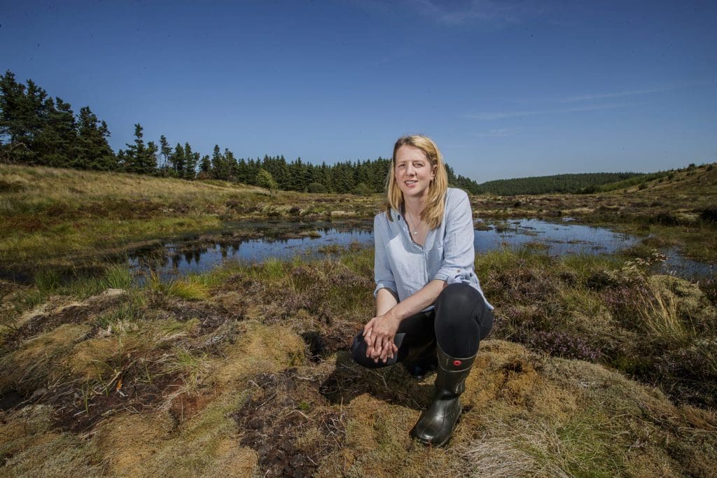 How restoring Wales’ bogs is improving water and wildfire security