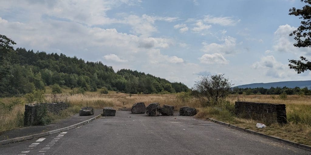 Cat found dumped in box in Merthyr Tydfil