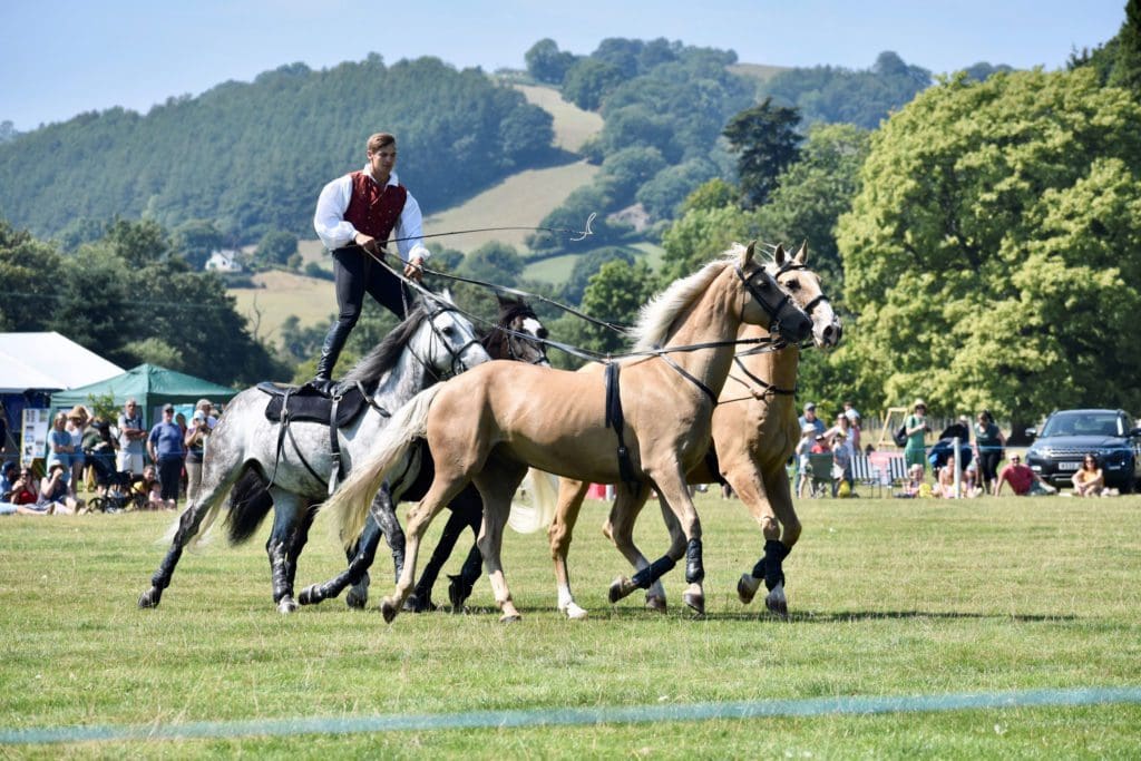 Record attendance as Llanfyllin Show returns in style