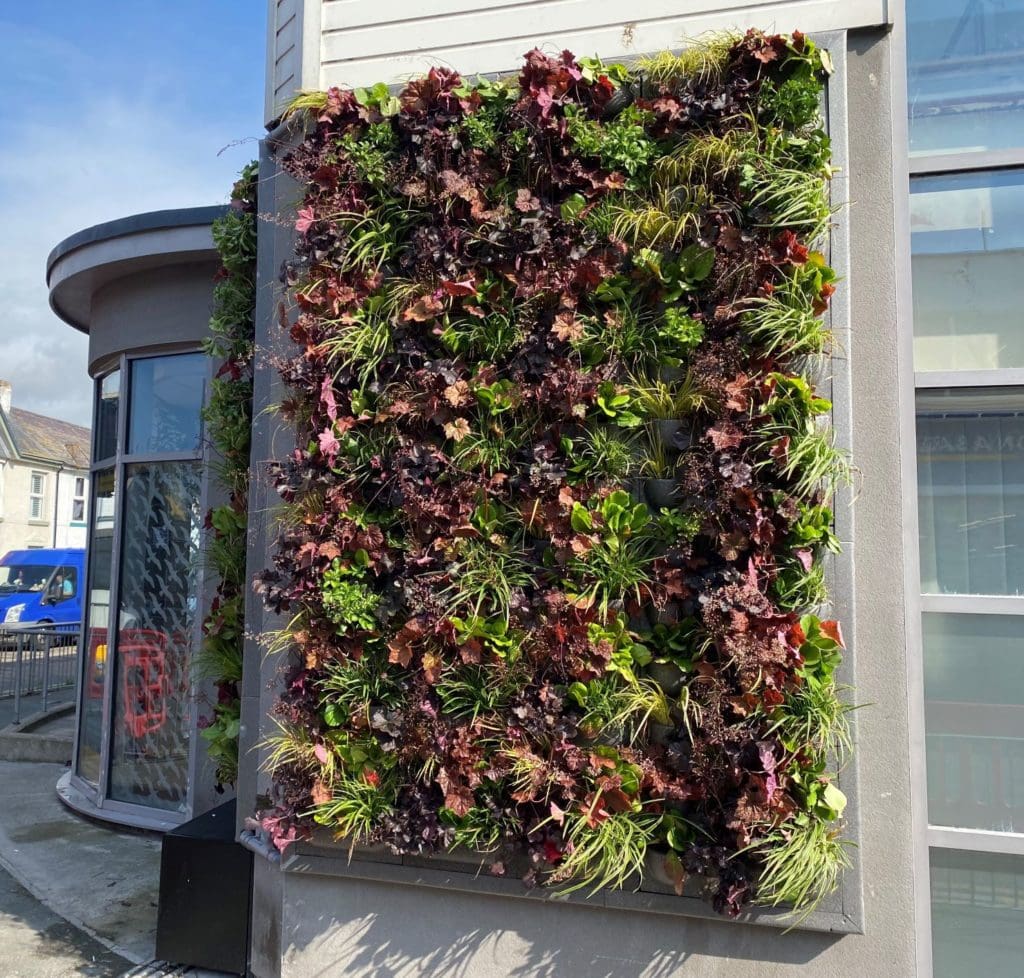 Living Wall installed in Rhyl as part of Council Green Infrastructure project