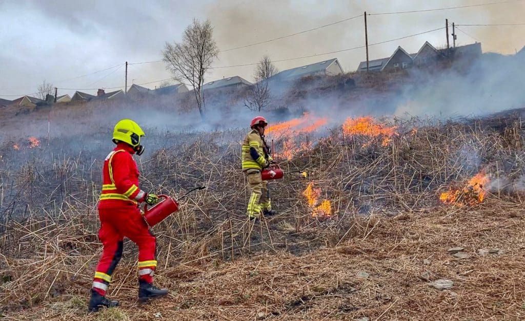 EU experts combining knowledge to reduce wildfire danger