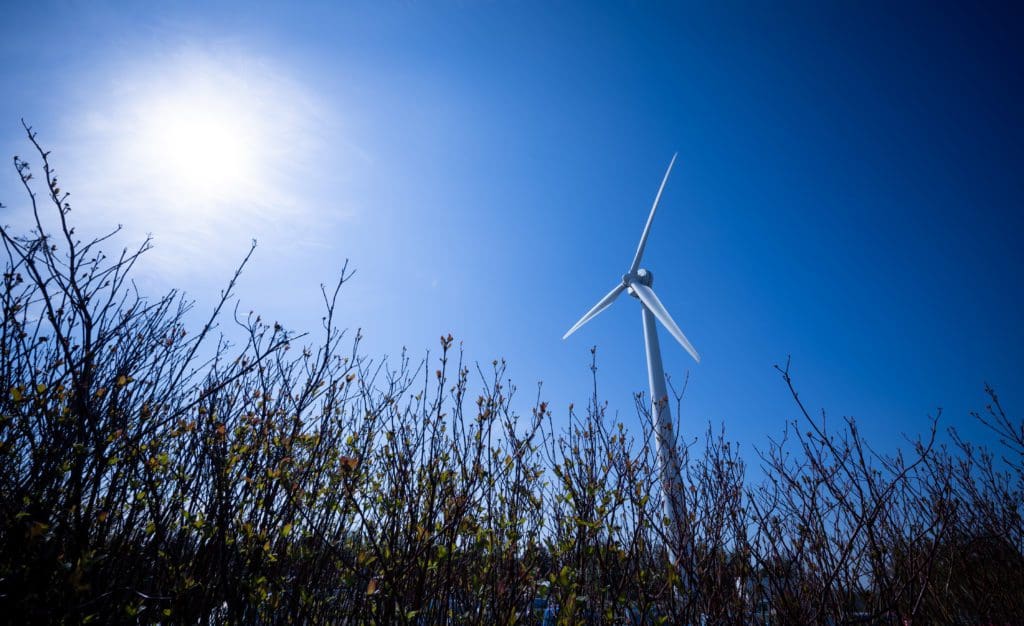 Bangor University partners with Kepak to offer Research Degree in Sustainable Food Production