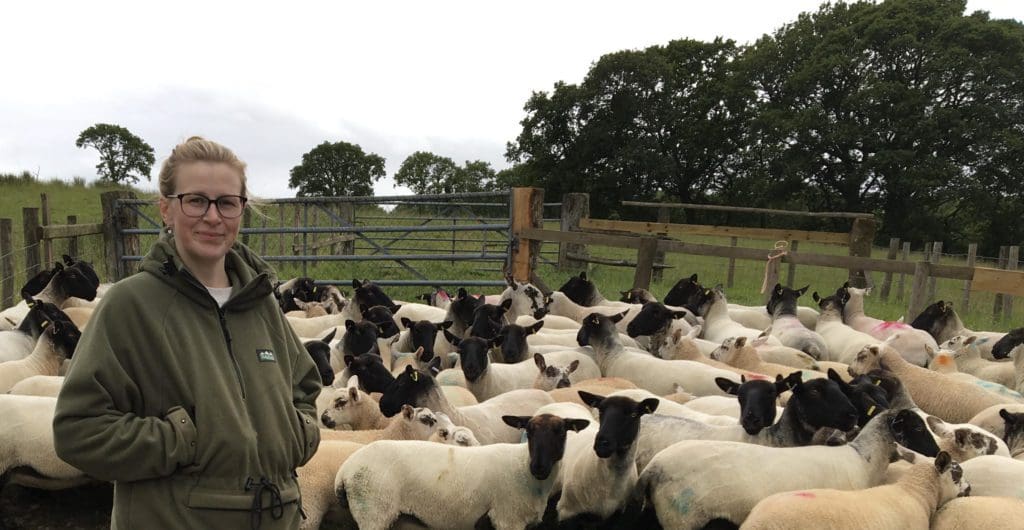 Welsh farms help to combat antibiotic resistance