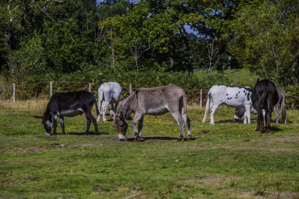 £15million for landowners who want to improve biodiversity