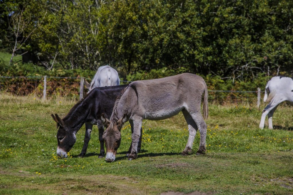£15million for landowners to improve biodiversity