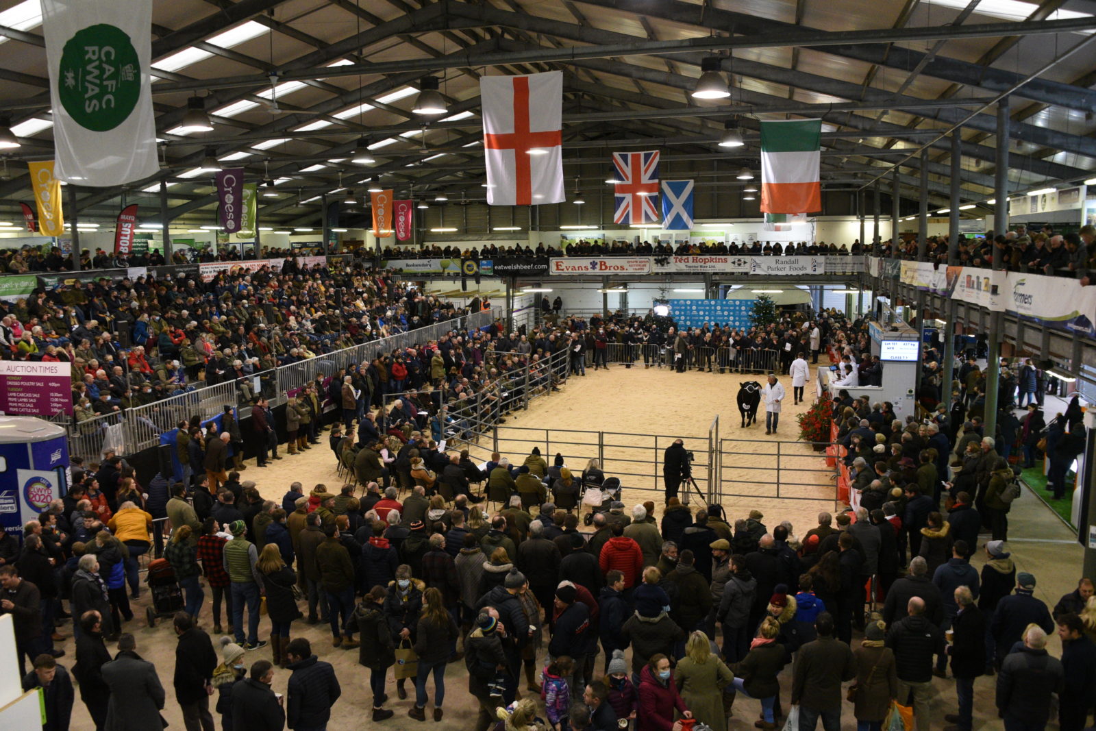 More details revealed ahead of the Royal Welsh Winter Fair 2022