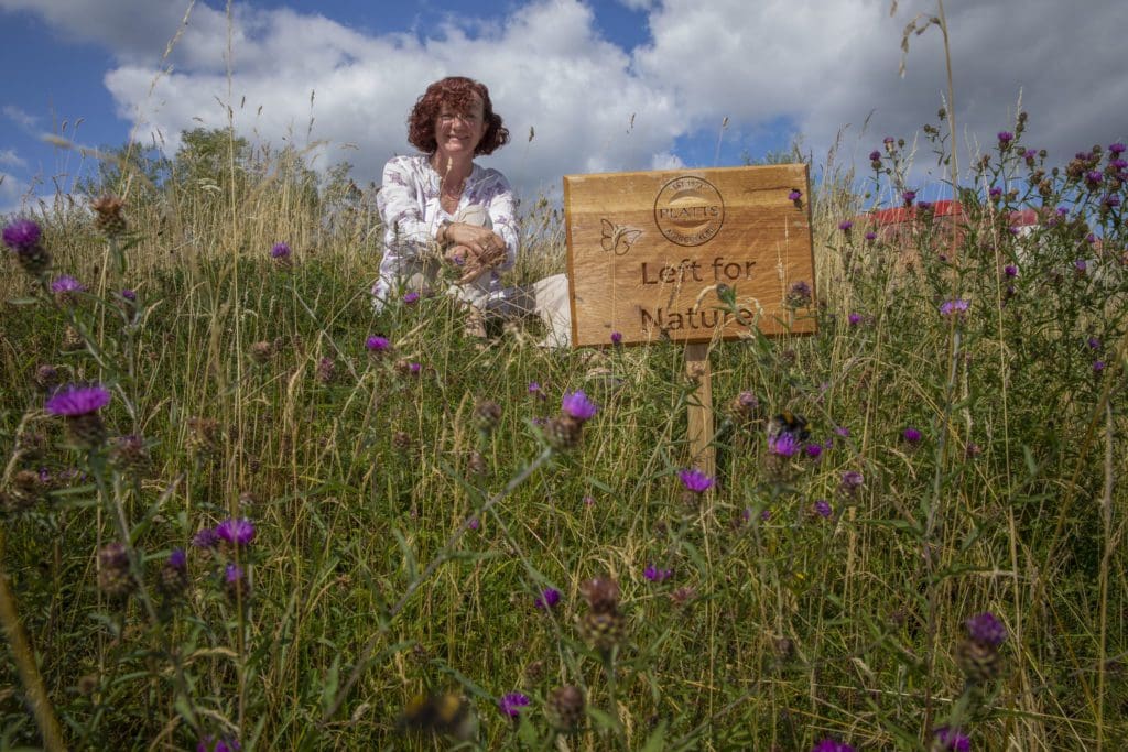 Welsh industrial estate home to green revolution