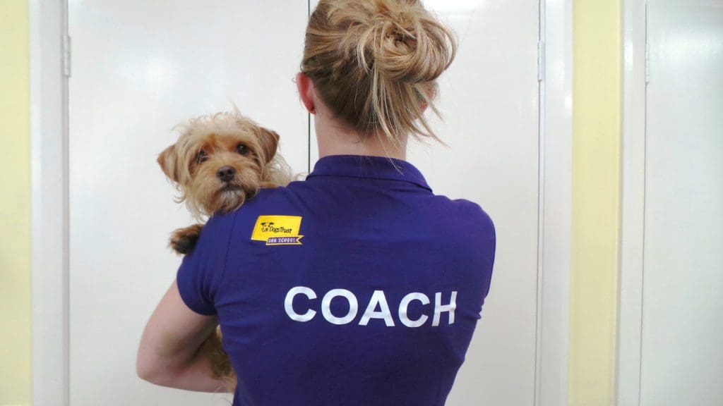 Dogs Trust encourages dog owners to go ‘Bark to School’ as new term starts
