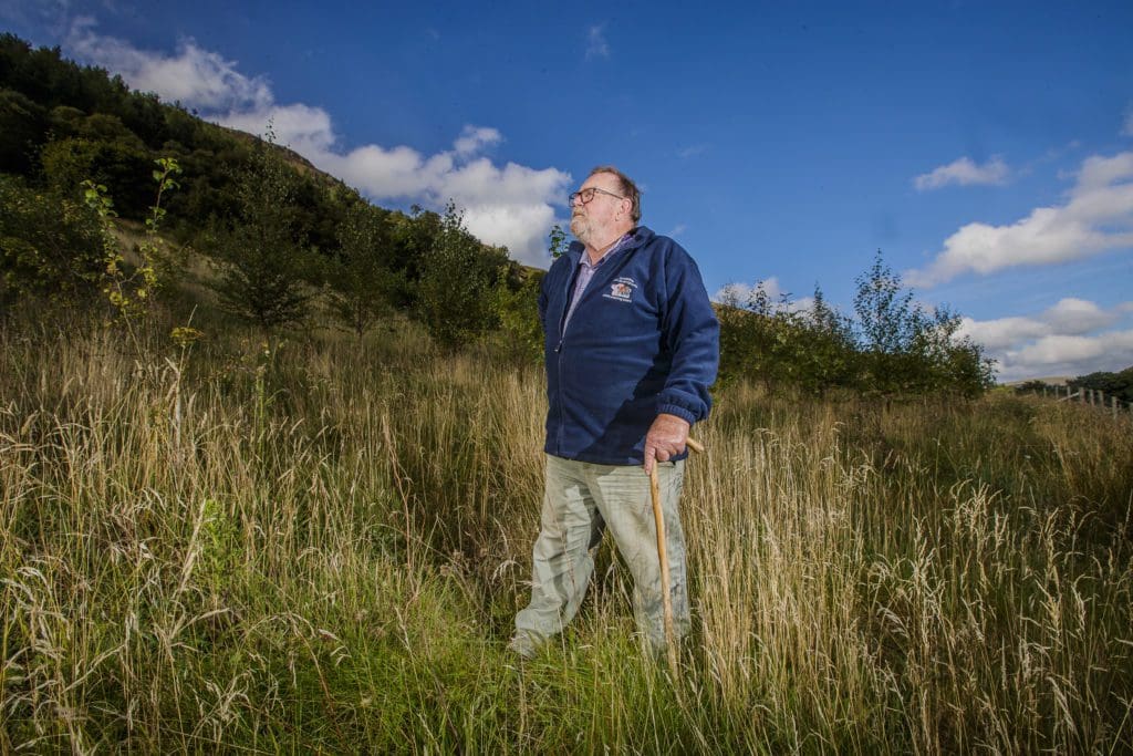 £32m for Welsh farmers to plant trees