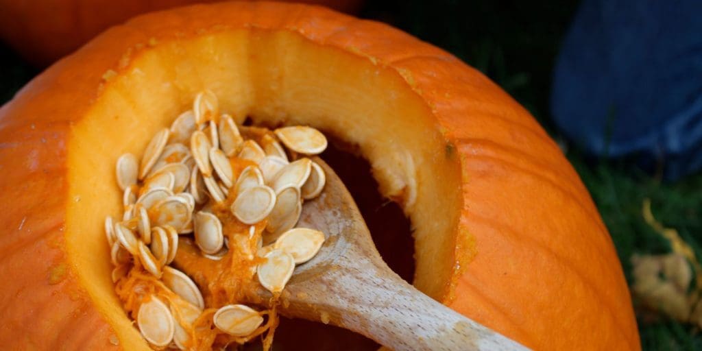 Residents warned not to bin pumpkins this year