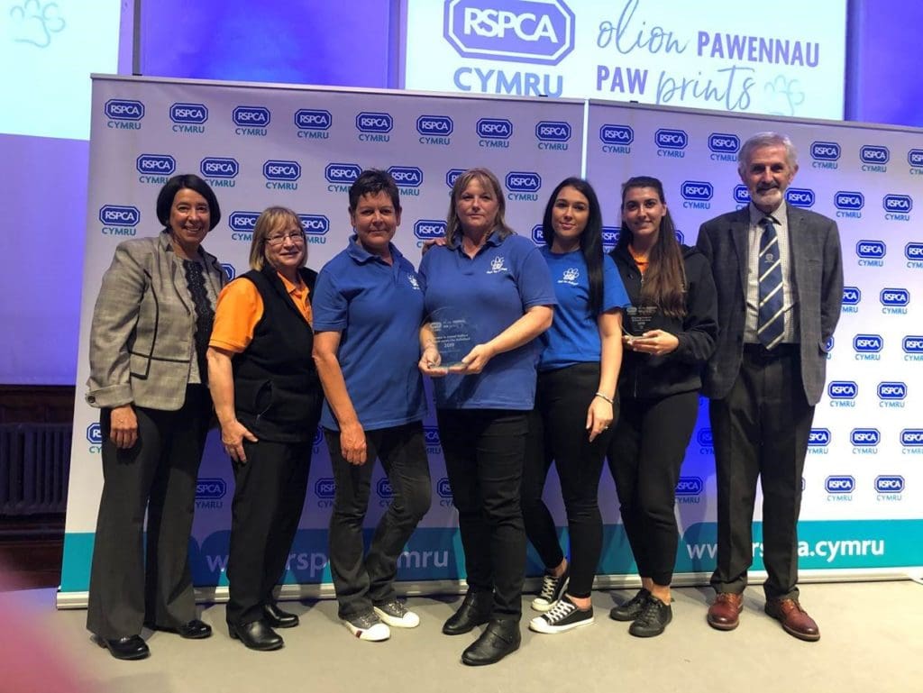 Newport Dogs Home wins gold at RSPCA Cymru PawPrint Awards 2022