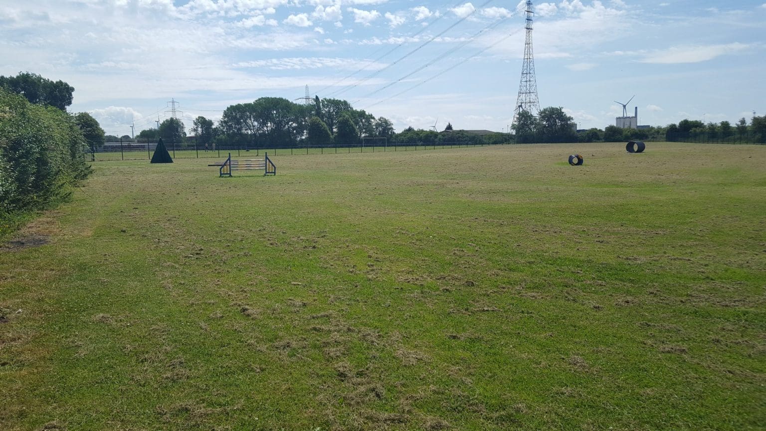 Newport Dogs Home wins gold at RSPCA Cymru PawPrint Awards 2022