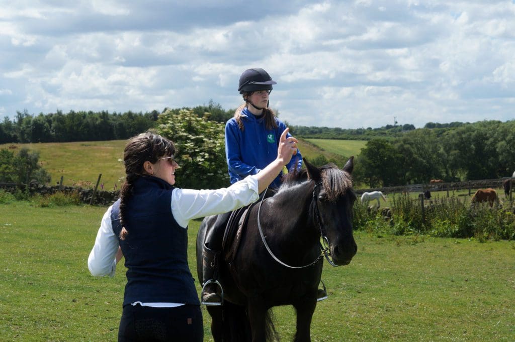 Think Like a Pony training sessions now available in Mid Wales