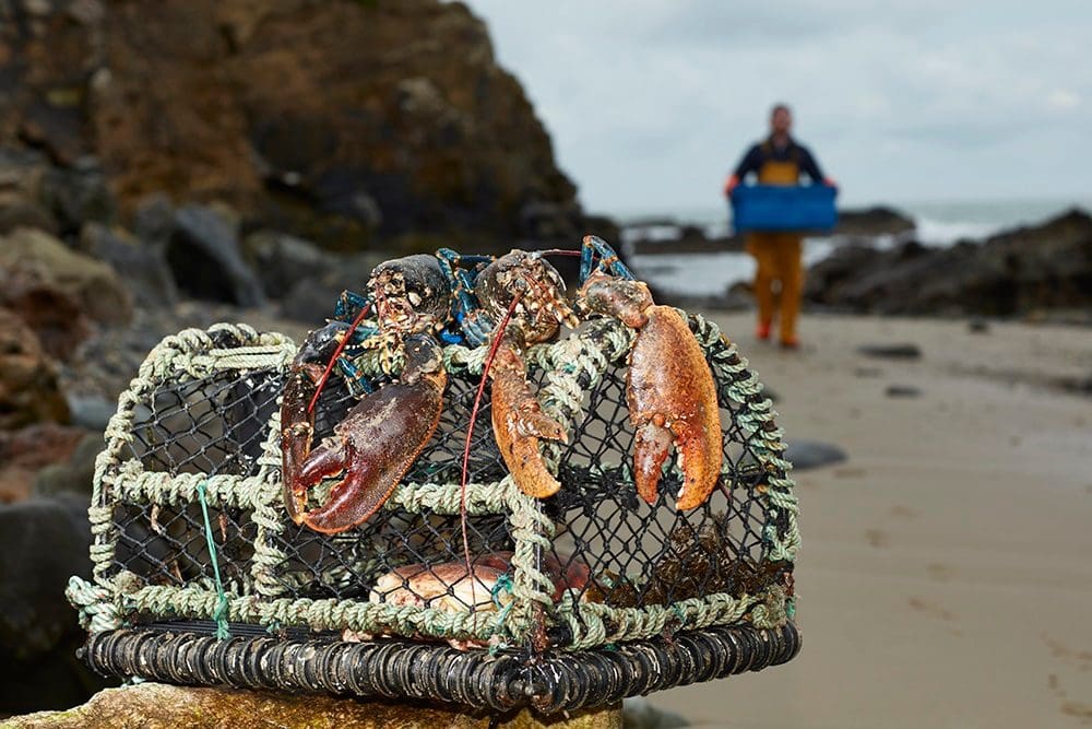 Welsh companies explore new export opportunities at Paris food and drink showcase