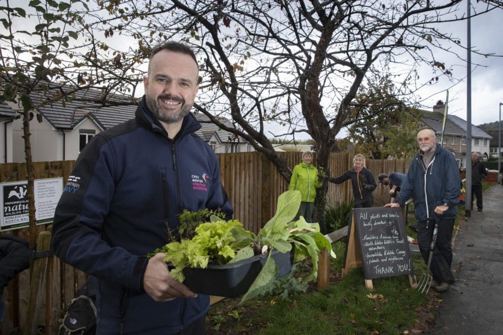 Plan Bee will boost flower power in Llandudno Junction