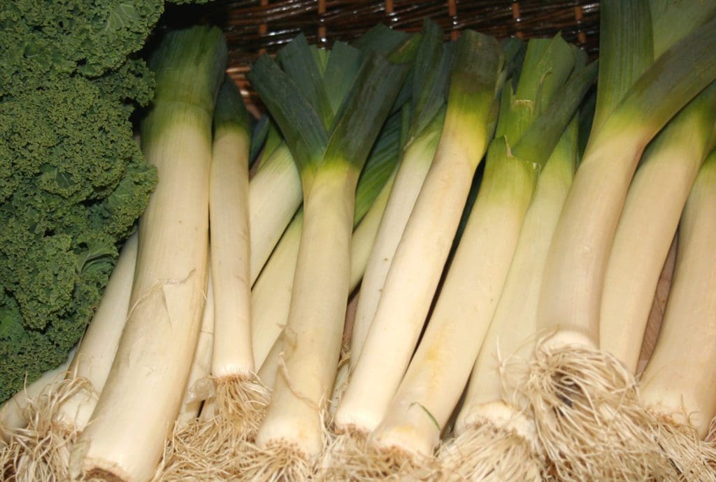 Wales’ national emblem given protected vegetable status