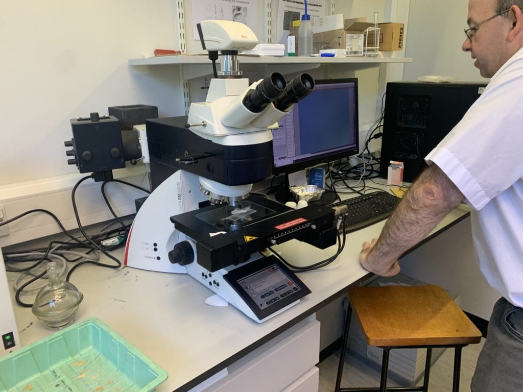 Welsh Wool prototypes to be revealed at show