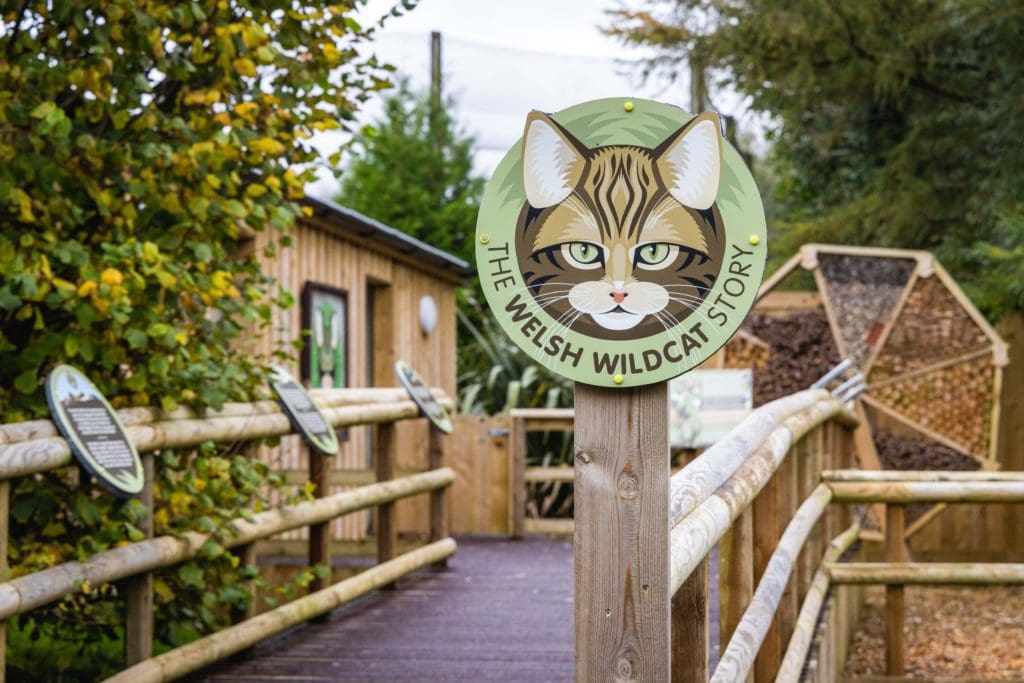Folly Farm opens new native species enclosure for endangered wildlife