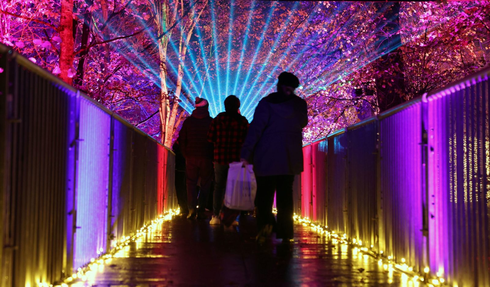 Festive lights trail opens at Bute Park Cardiff for Christmas 2022