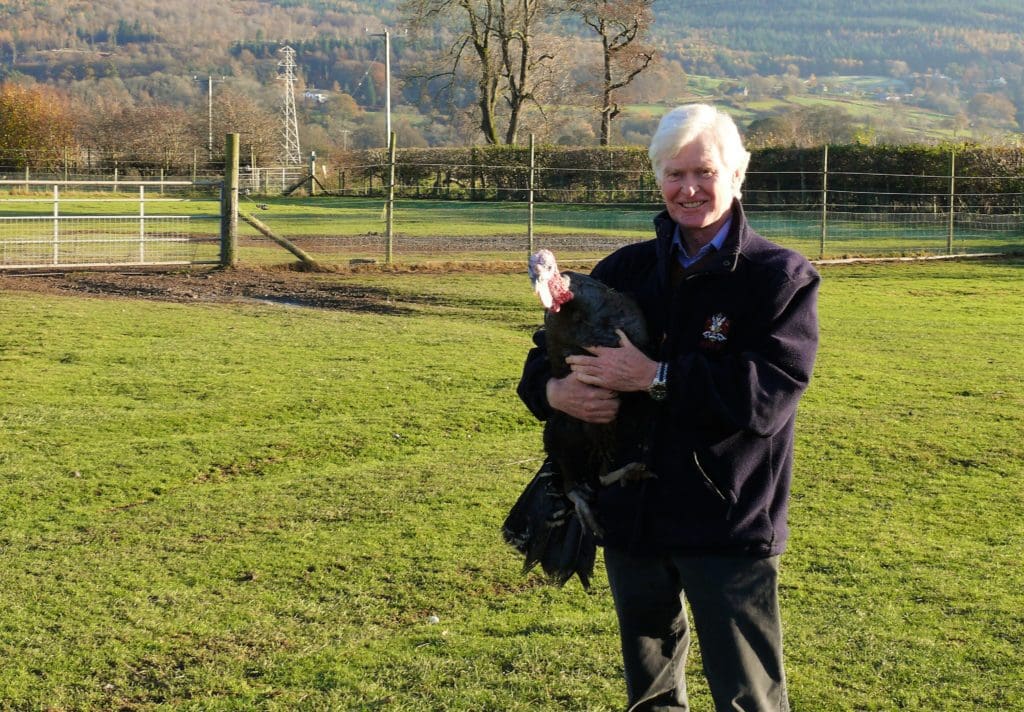 Farm estate in ‘race against time’ to sell turkeys as bird flu crisis deepens
