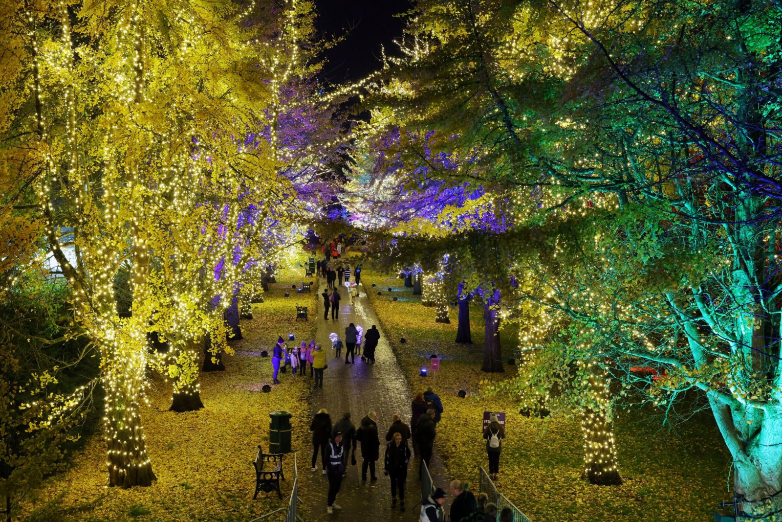 Festive lights trail opens at Bute Park Cardiff for Christmas 2022
