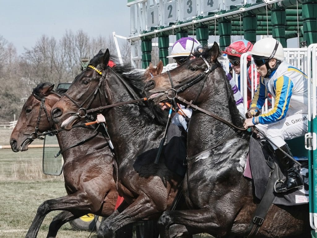 Stop Making These 5 Mistakes in Horse Racing Betting