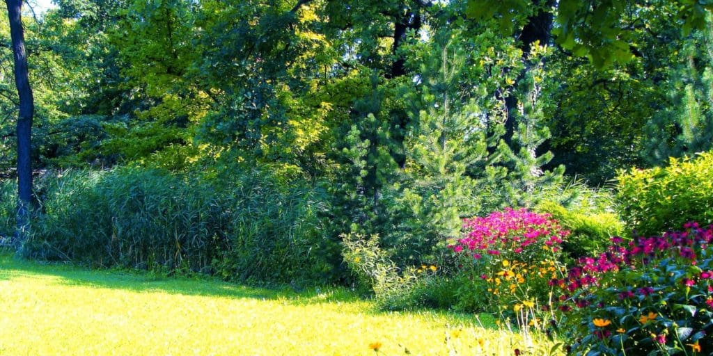 Changes That Create Privacy At Your Property