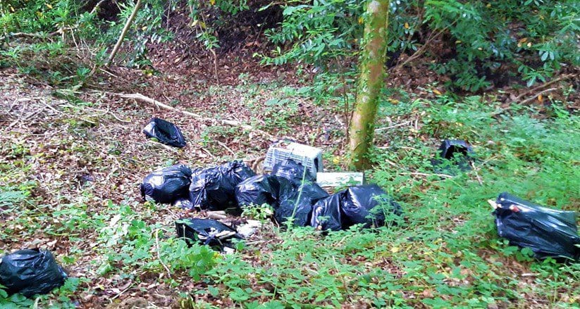 Man must pay £858.52 after giving someone £40 to move waste