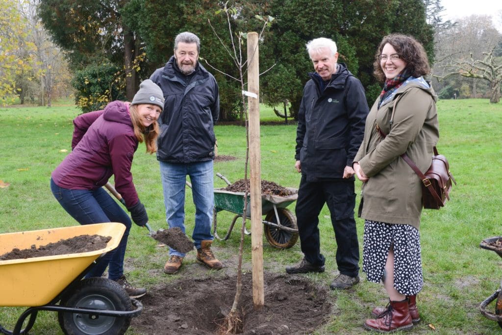 Cardiff park ‘Plants Back Better’ following tree vandalism