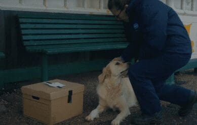 RSPCA Christmas film tells heartbreaking story of dumped pets