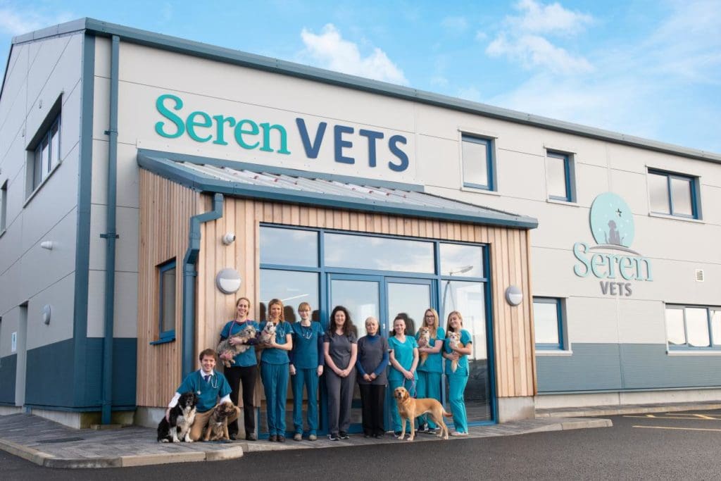 New independent veterinary practice launches in Carmarthen