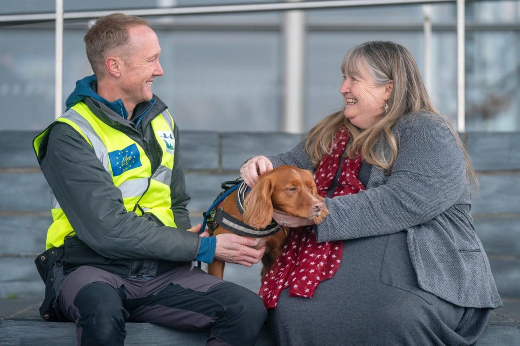 Meet Jinx, the rat sniffing dog who is tasked with protecting Wales’ seabirds