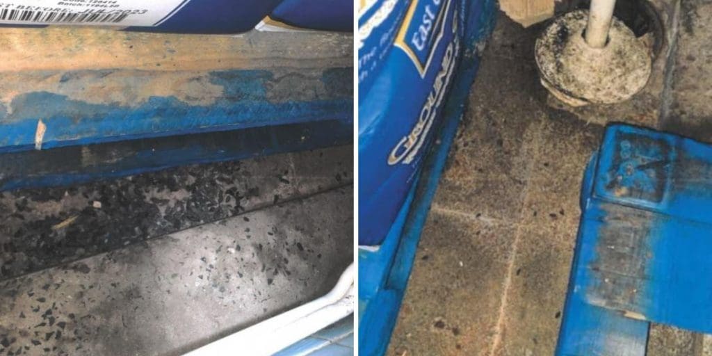 Rodent-infested food business shut down on the spot by hygiene inspectors