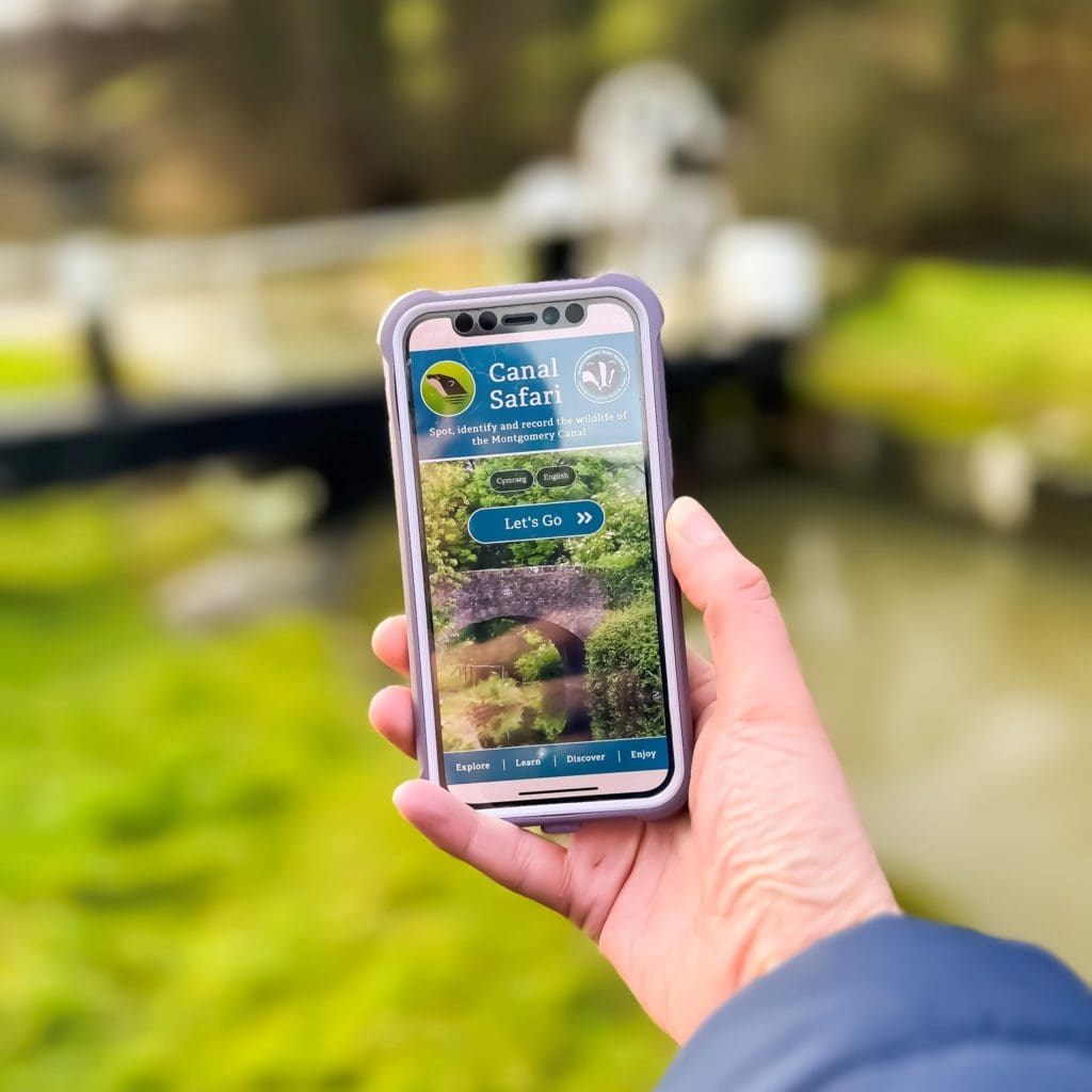New app helps visitors go on a ‘Canal Safari’ in Mid Wales