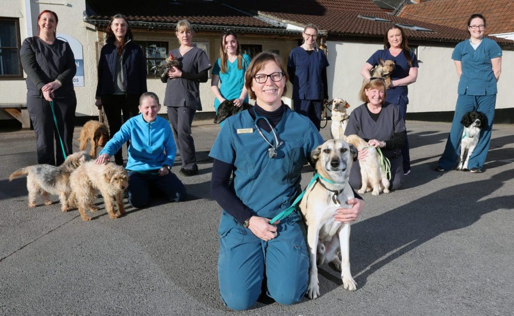 Archway becomes first veterinary practice in Wales to go into employee ownership