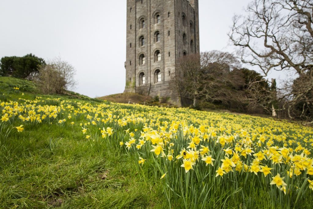 Spring has arrived at Penrhyn Castle, just as its doors reopen