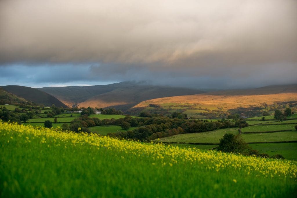 More Welsh farms receive Glastir funding at start of payment window