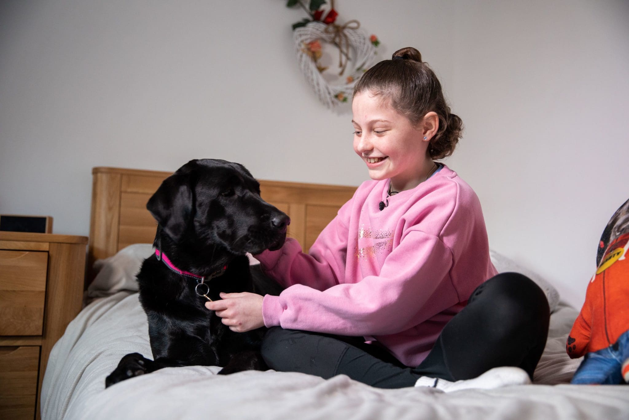 Lifechanging Swansea dog named as finalist in Crufts hero awards
