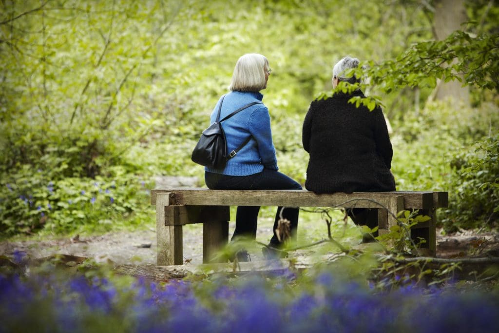 National Trust Cymru share designs of Commemorative Woodland at Erddig