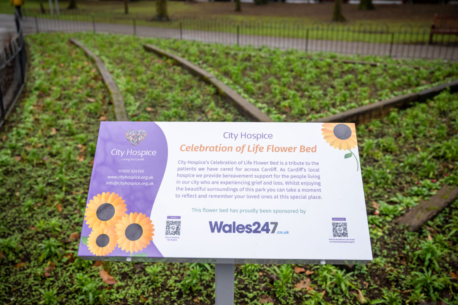 Wales 247 helps legacy of Forever Flowers to bloom across Cardiff