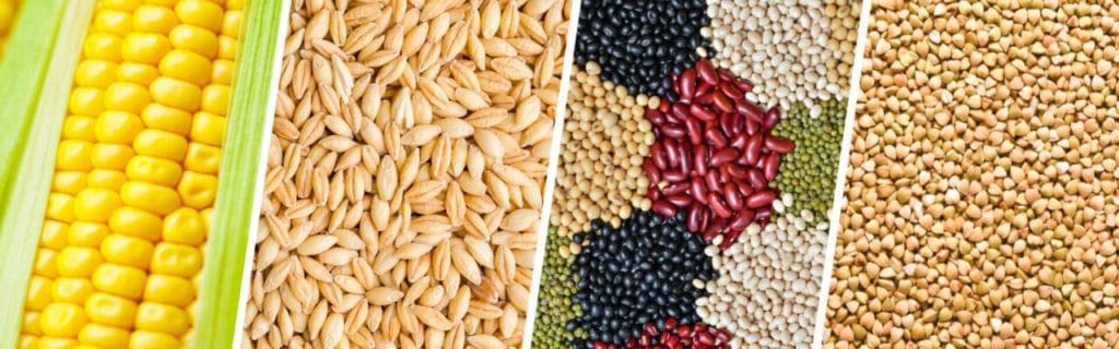 Crops in Agriculture: Types and Classifications