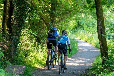 Local consultation underway on Taff Trail improvements at Trallwn